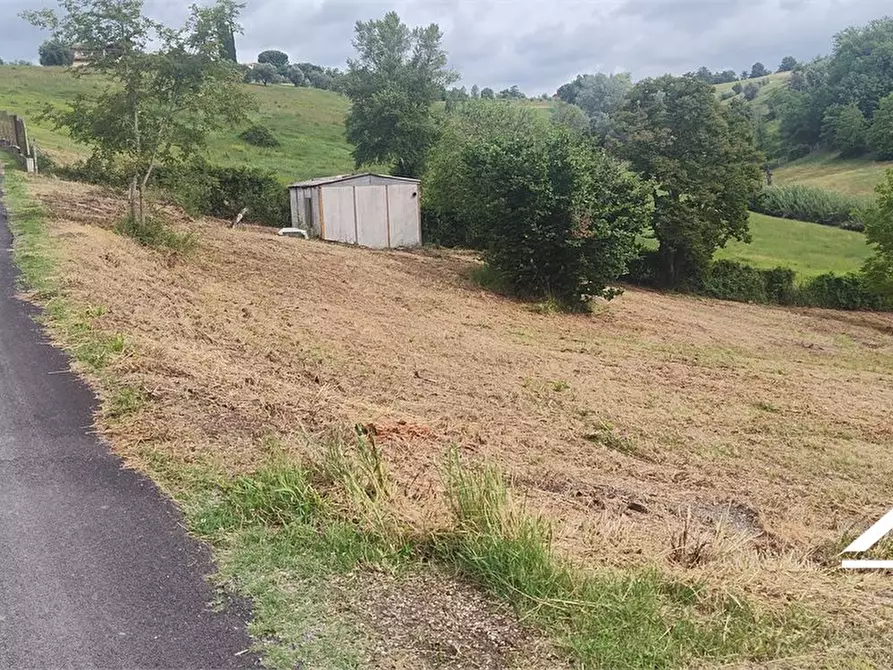 Immagine 4 di Rustico / casale in vendita  SNC a Tarano
