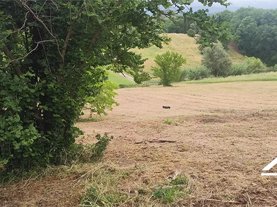 Immagine 8 di Rustico / casale in vendita  SNC a Tarano