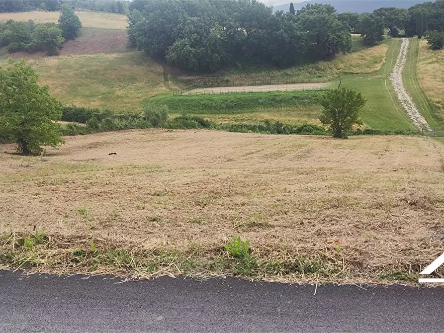 Immagine 6 di Rustico / casale in vendita  SNC a Tarano