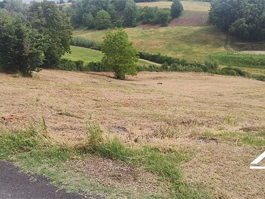 Immagine 9 di Rustico / casale in vendita  SNC a Tarano