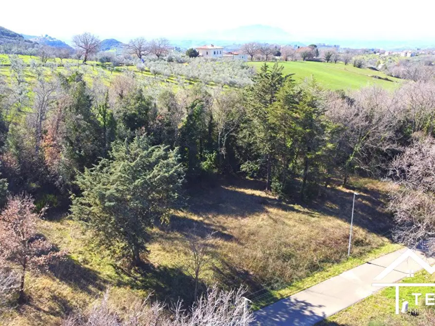 Immagine 5 di Terreno edificabile in vendita  a Casperia