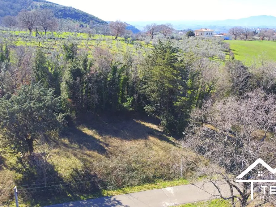 Immagine 4 di Terreno edificabile in vendita  a Casperia