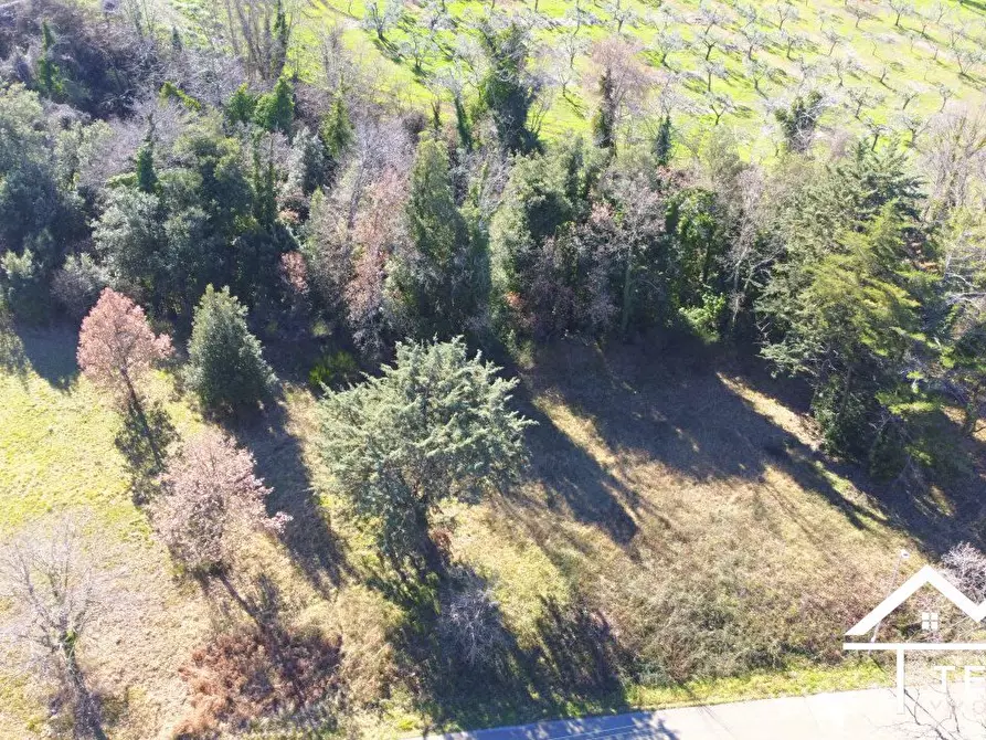 Immagine 9 di Terreno edificabile in vendita  a Casperia