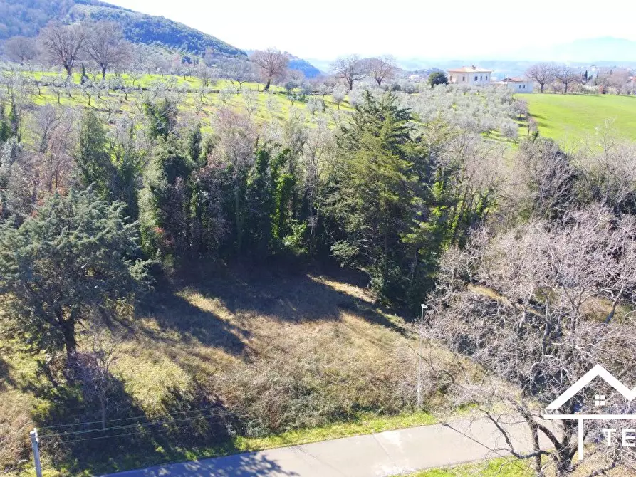 Immagine 3 di Terreno edificabile in vendita  a Casperia