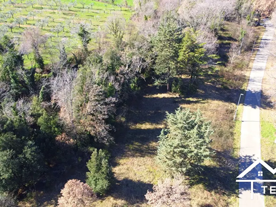 Immagine 10 di Terreno edificabile in vendita  a Casperia