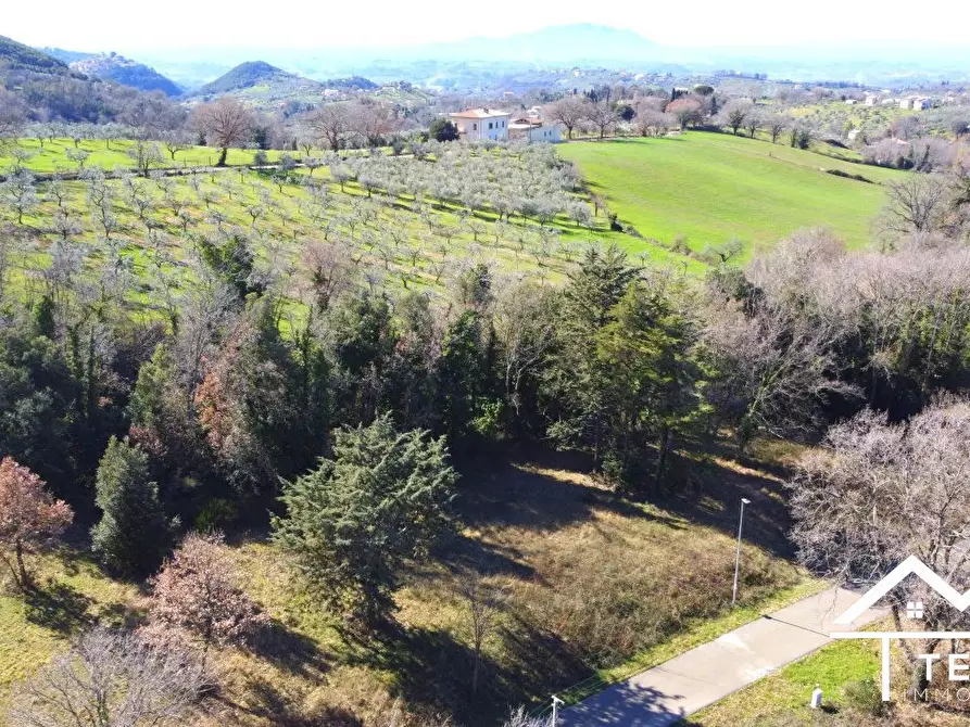Immagine 6 di Terreno edificabile in vendita  a Casperia