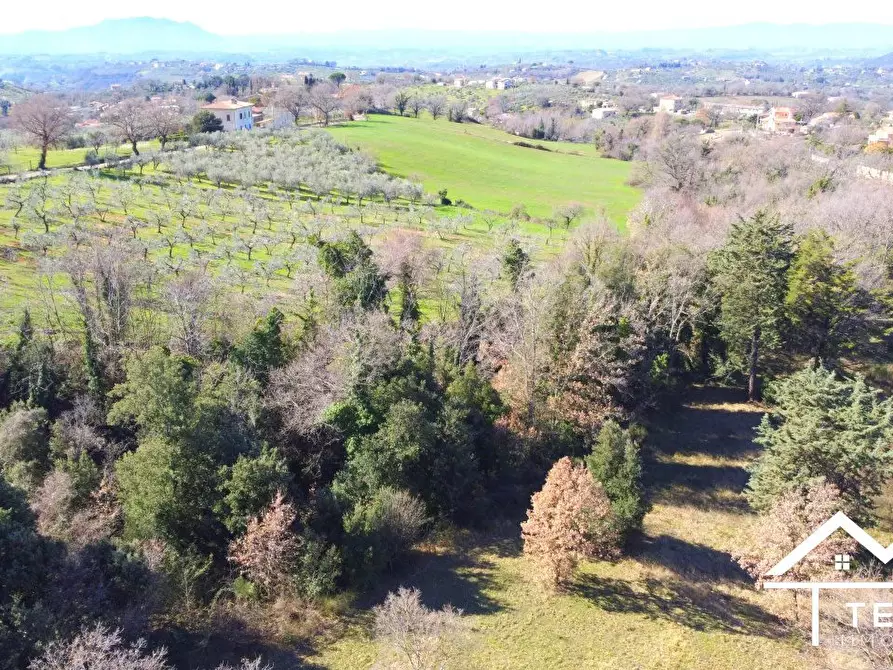 Immagine 8 di Terreno edificabile in vendita  a Casperia