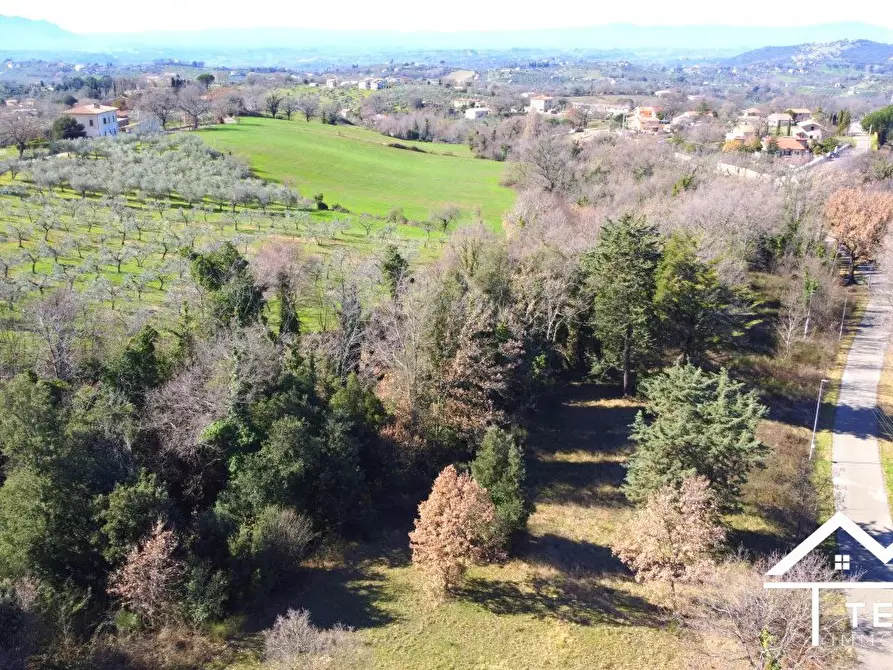 Immagine 7 di Terreno edificabile in vendita  a Casperia