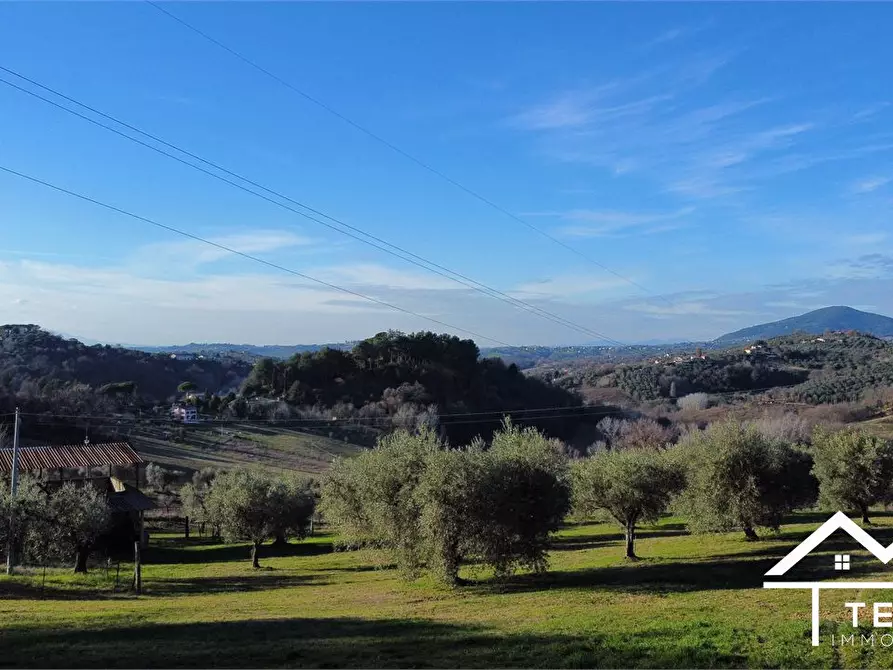 Immagine 2 di Terreno edificabile in vendita  SNC a Cantalupo In Sabina