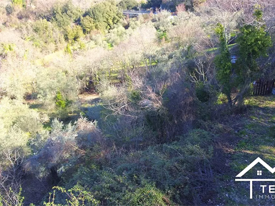 Immagine 7 di Terreno in vendita  snc a Roccantica