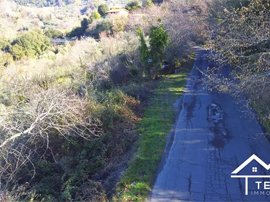 Immagine 9 di Terreno in vendita  snc a Roccantica