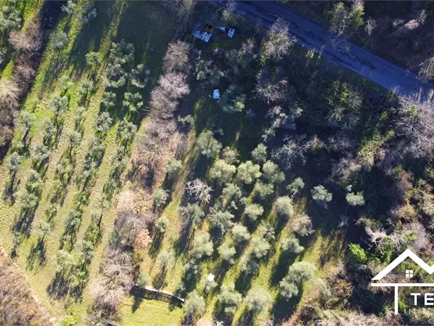Immagine 2 di Terreno in vendita  snc a Roccantica
