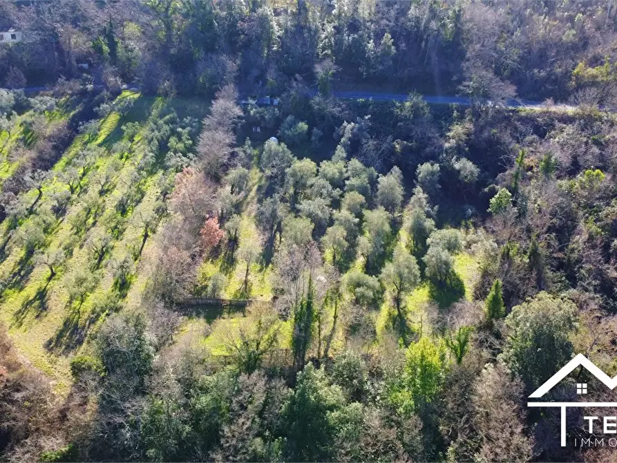 Immagine 8 di Terreno in vendita  snc a Roccantica