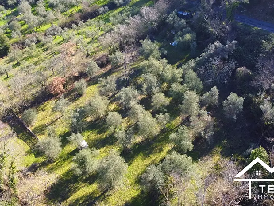 Immagine 4 di Terreno in vendita  snc a Roccantica