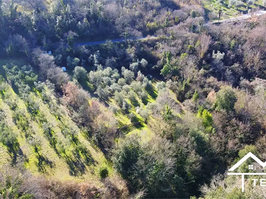 Immagine 6 di Terreno in vendita  snc a Roccantica