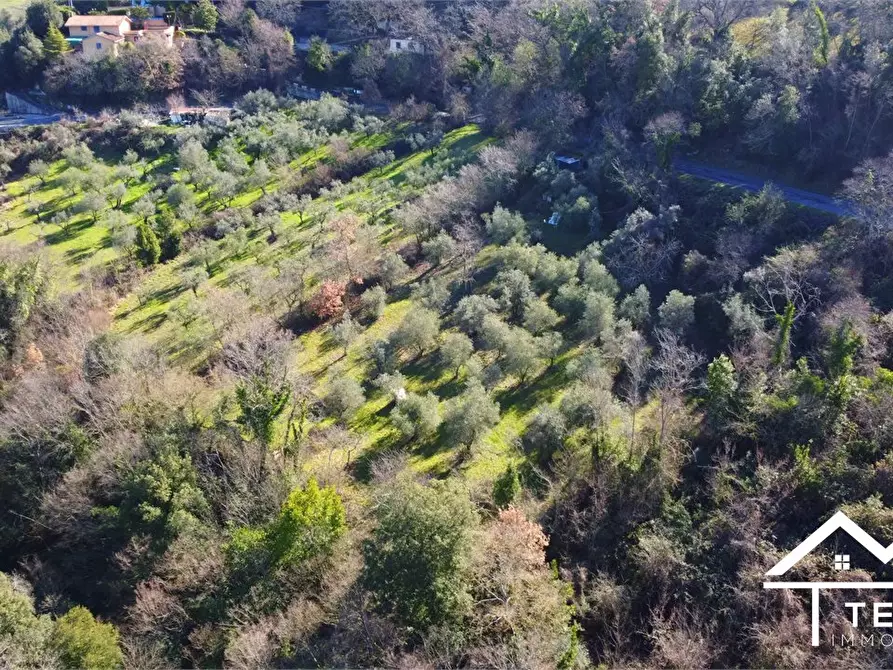 Immagine 5 di Terreno in vendita  snc a Roccantica