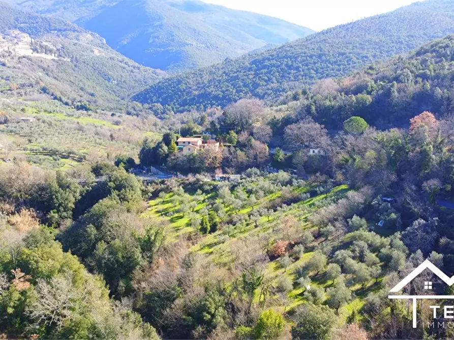 Immagine 1 di Terreno in vendita  snc a Roccantica