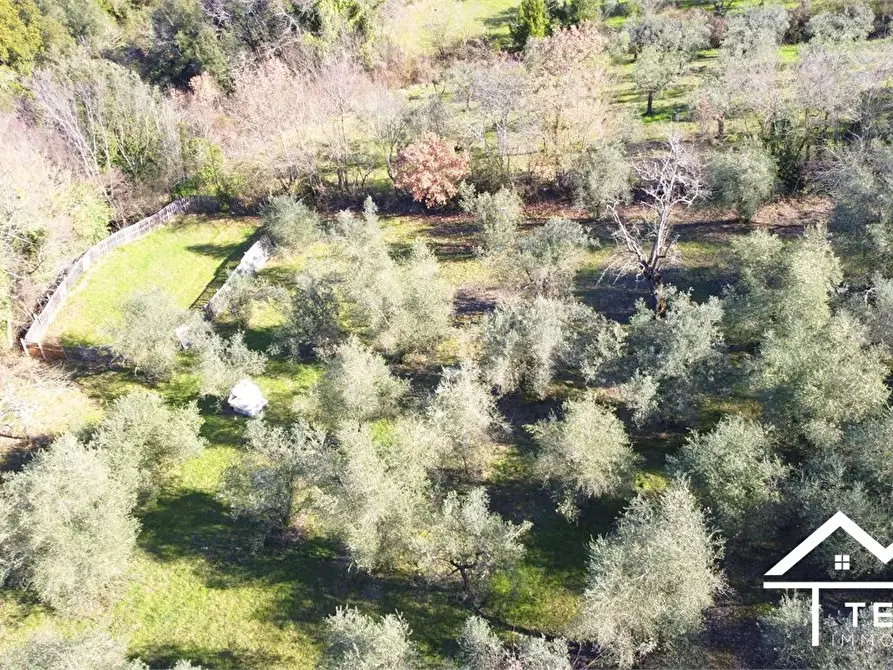 Immagine 3 di Terreno in vendita  snc a Roccantica