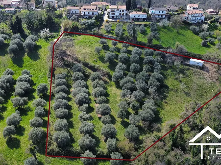 Immagine 1 di Terreno in vendita  snc a Forano