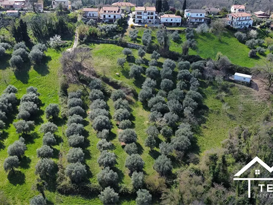 Immagine 9 di Terreno in vendita  snc a Forano