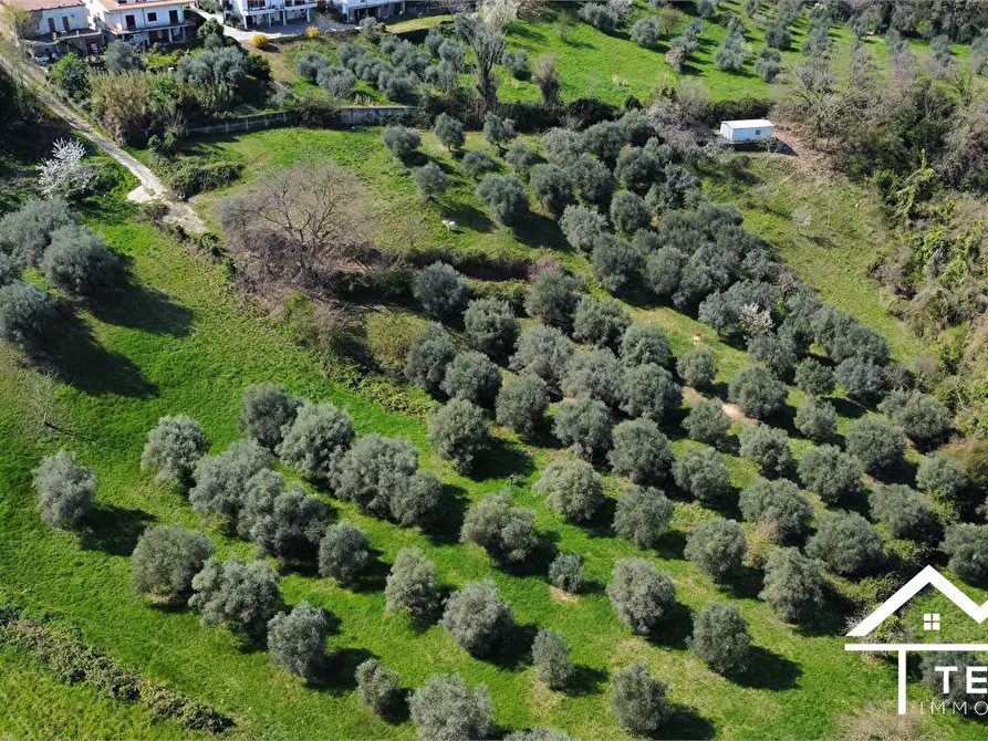 Immagine 6 di Terreno in vendita  snc a Forano