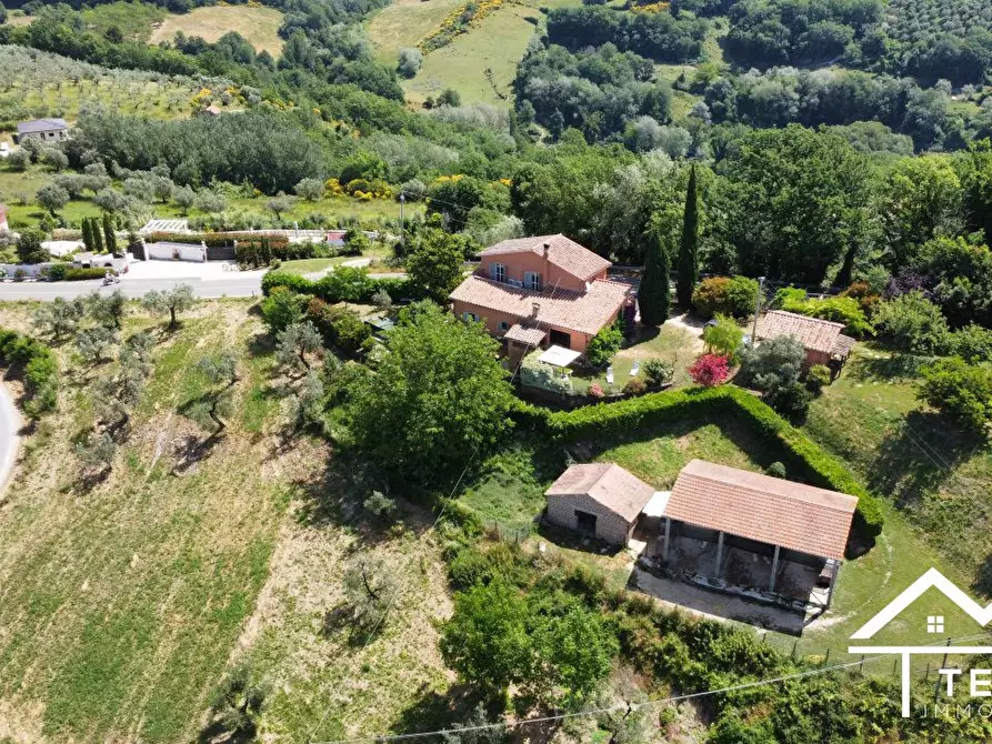 Immagine 6 di Villa in vendita  a Torri In Sabina