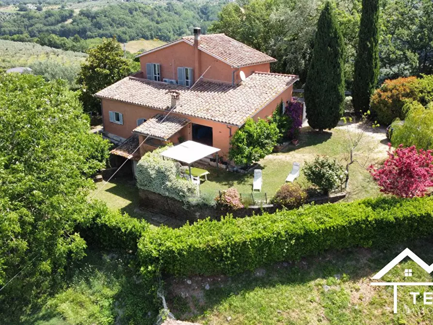 Immagine 2 di Villa in vendita  a Torri In Sabina