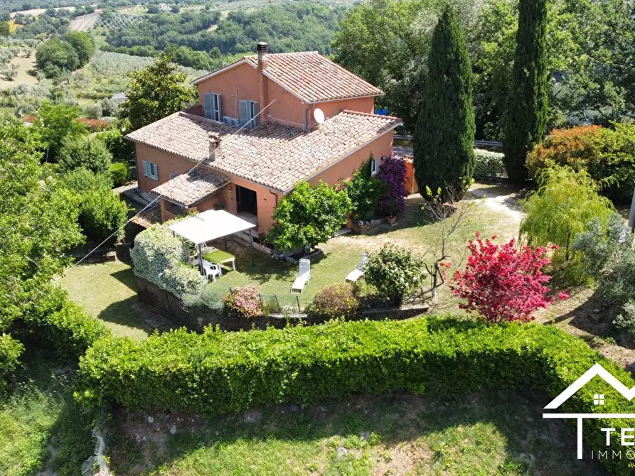 Immagine 8 di Villa in vendita  a Torri In Sabina