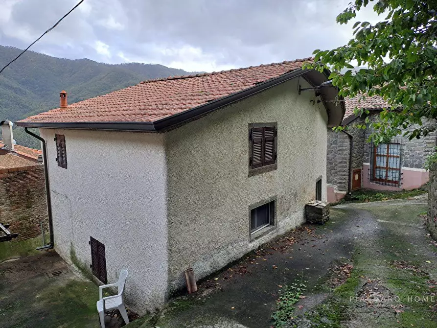 Immagine 1 di Casa indipendente in vendita  a Comano