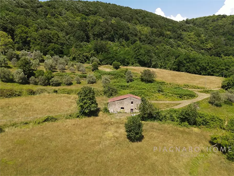 Immagine 7 di Rustico / casale in vendita  55 a Pontremoli