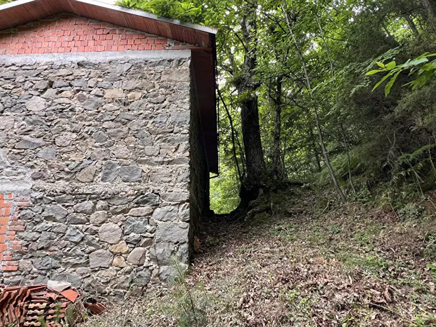 Immagine 5 di Magazzino in vendita  a Bagnone