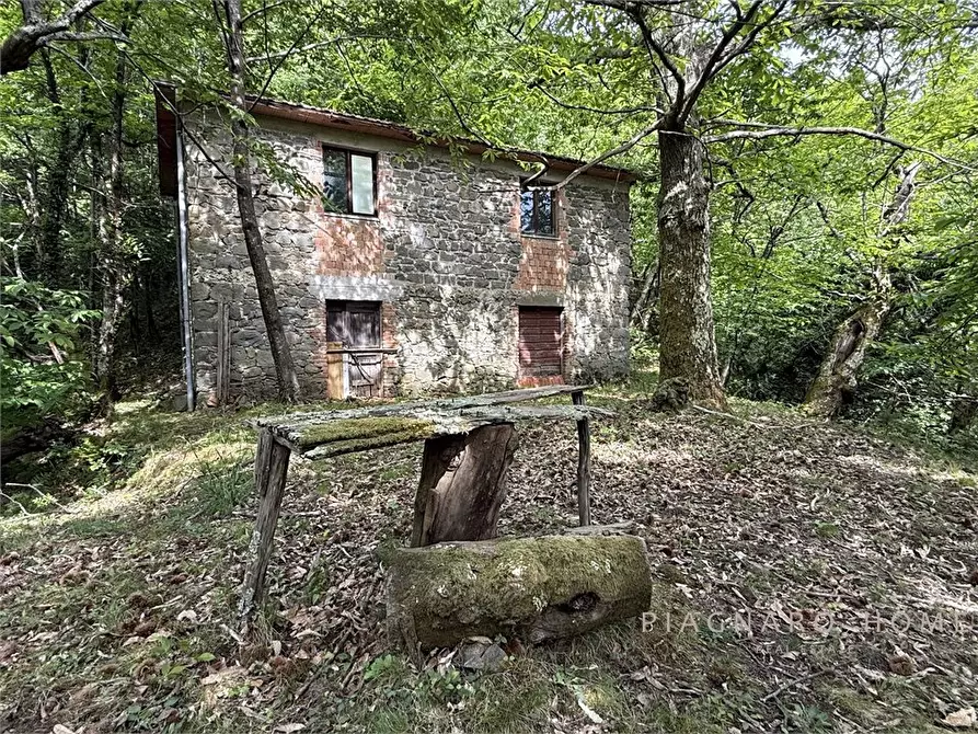 Immagine 1 di Magazzino in vendita  a Bagnone