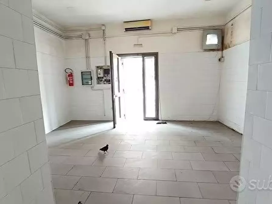 Immagine 3 di Negozio in affitto  1 a Casalnuovo Di Napoli