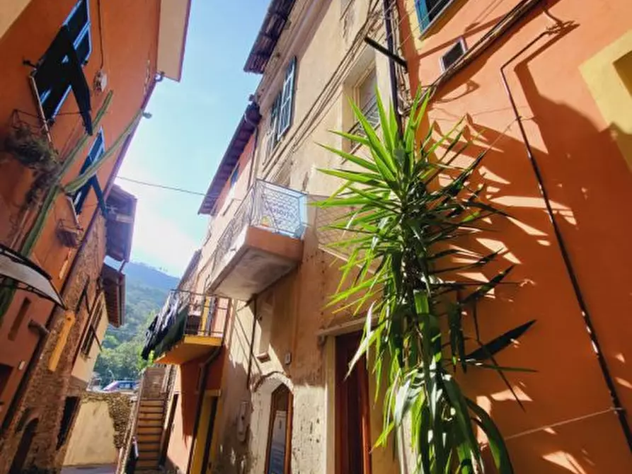 Immagine 2 di Rustico / casale in vendita  a Villanova D'albenga
