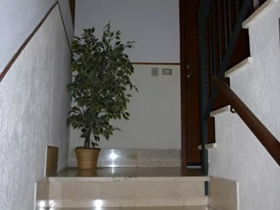 Immagine 5 di Rustico / casale in vendita  a Villanova D'albenga