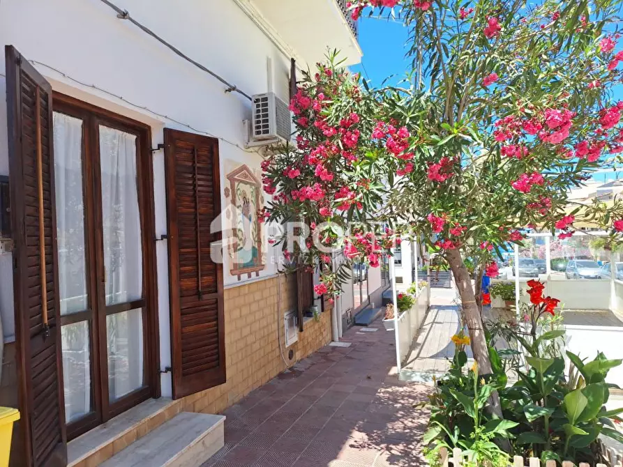 Immagine 2 di Appartamento in vendita  a Terrasini