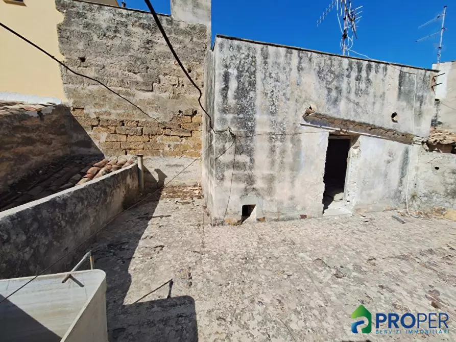 Immagine 3 di Villa in vendita  a Cinisi