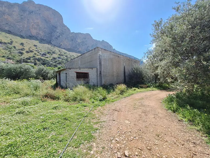 Immagine 7 di Villa in vendita  snc a Cinisi