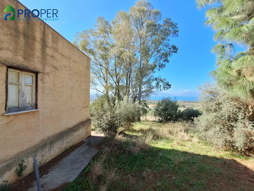 Immagine 7 di Villa in vendita  SNC a Terrasini
