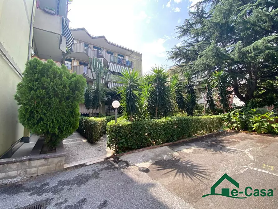 Immagine 7 di Appartamento in vendita  190 a Rometta