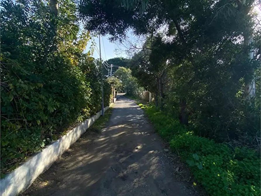 Immagine 7 di Terreno in vendita  10 a Spadafora