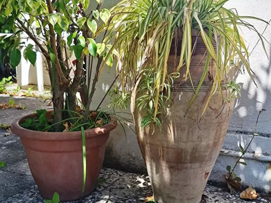 Immagine 5 di Villa in vendita  a Messina