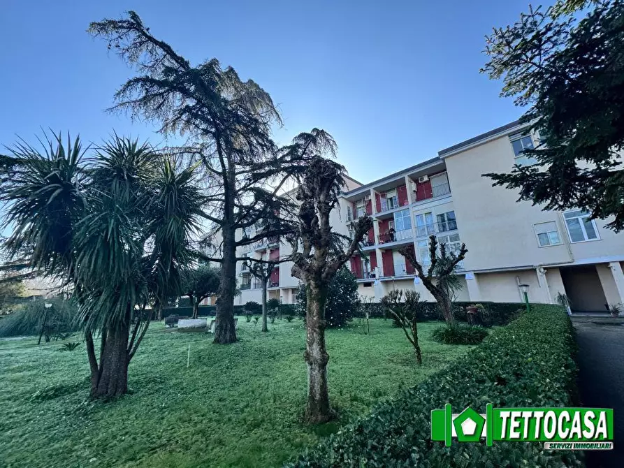 Immagine 2 di Appartamento in vendita  a Marigliano