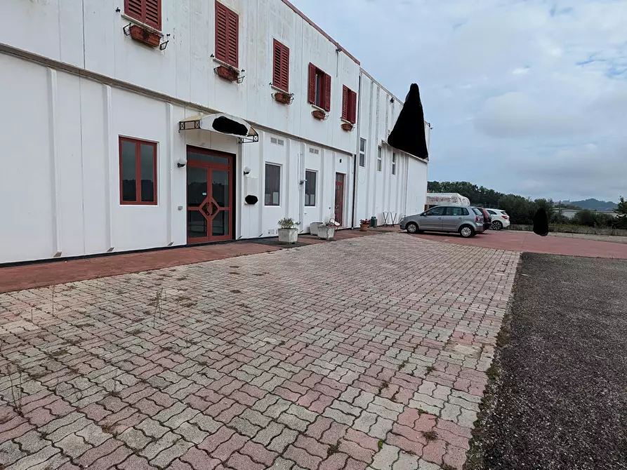 Immagine 4 di Appartamento in vendita  53 a Miglianico