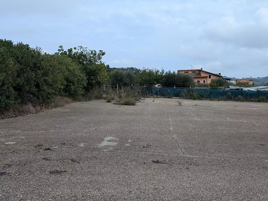 Immagine 5 di Appartamento in vendita  53 a Miglianico