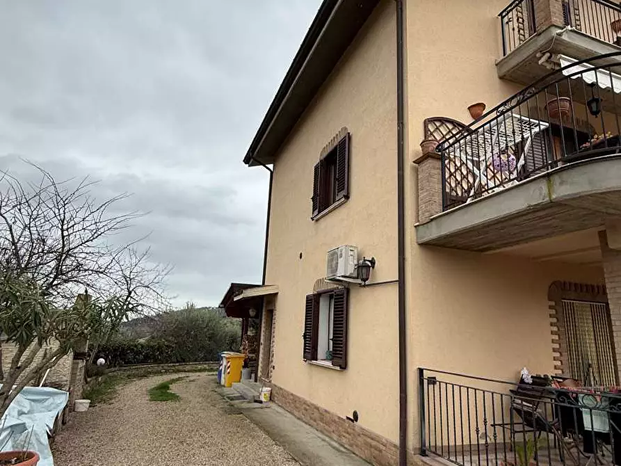 Immagine 4 di Appartamento in vendita  a Penna Sant'andrea