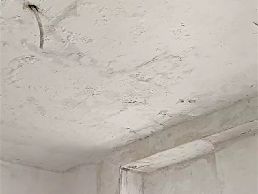 Immagine 4 di Appartamento in vendita  a Pescara