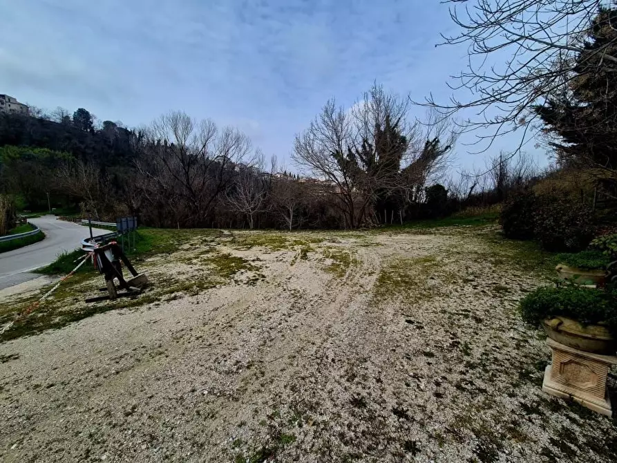 Immagine 6 di Agriturismo in vendita  a Manoppello