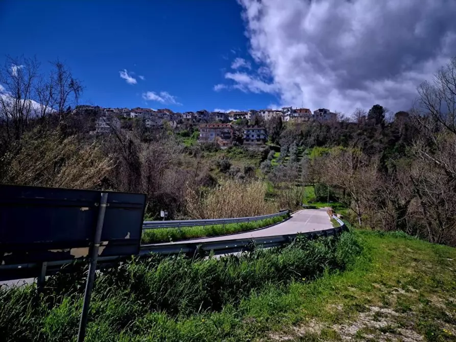 Immagine 5 di Agriturismo in vendita  a Manoppello