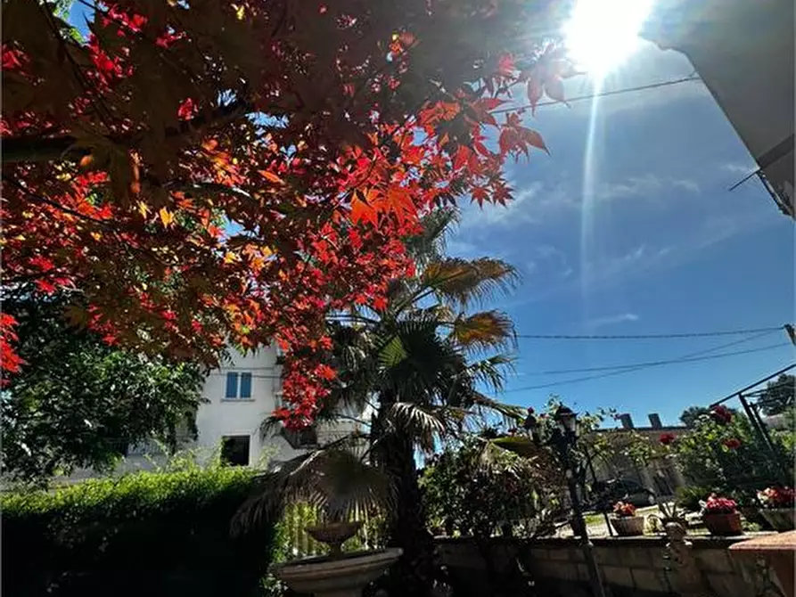 Immagine 3 di Appartamento in vendita  75 a Casoli